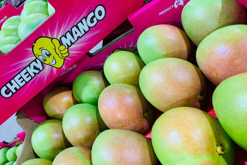a pink box with mangoes.
