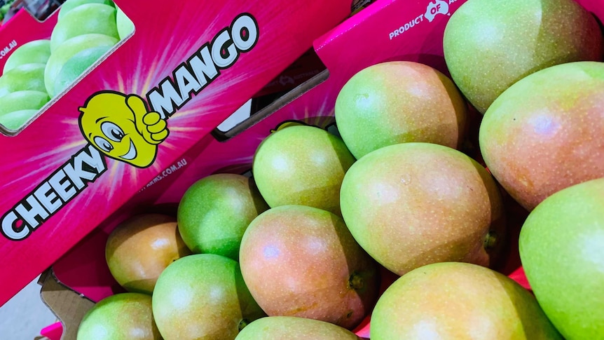 a pink box with mangoes.