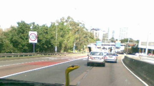 The snake lingered at the windscreen for five minutes.