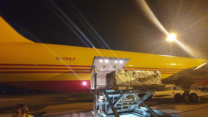 NT mangoes being loaded onto a plane, at night, bound for Singapore.