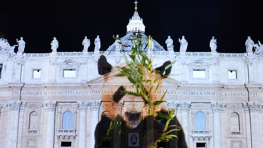 Image of Panda projected onto facade of St Peter's Basilica