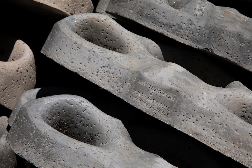 The top of a Living Seawall tile shows 'Reef Design Lab' and 'Sydney Institute of Marine Science' inscribed.