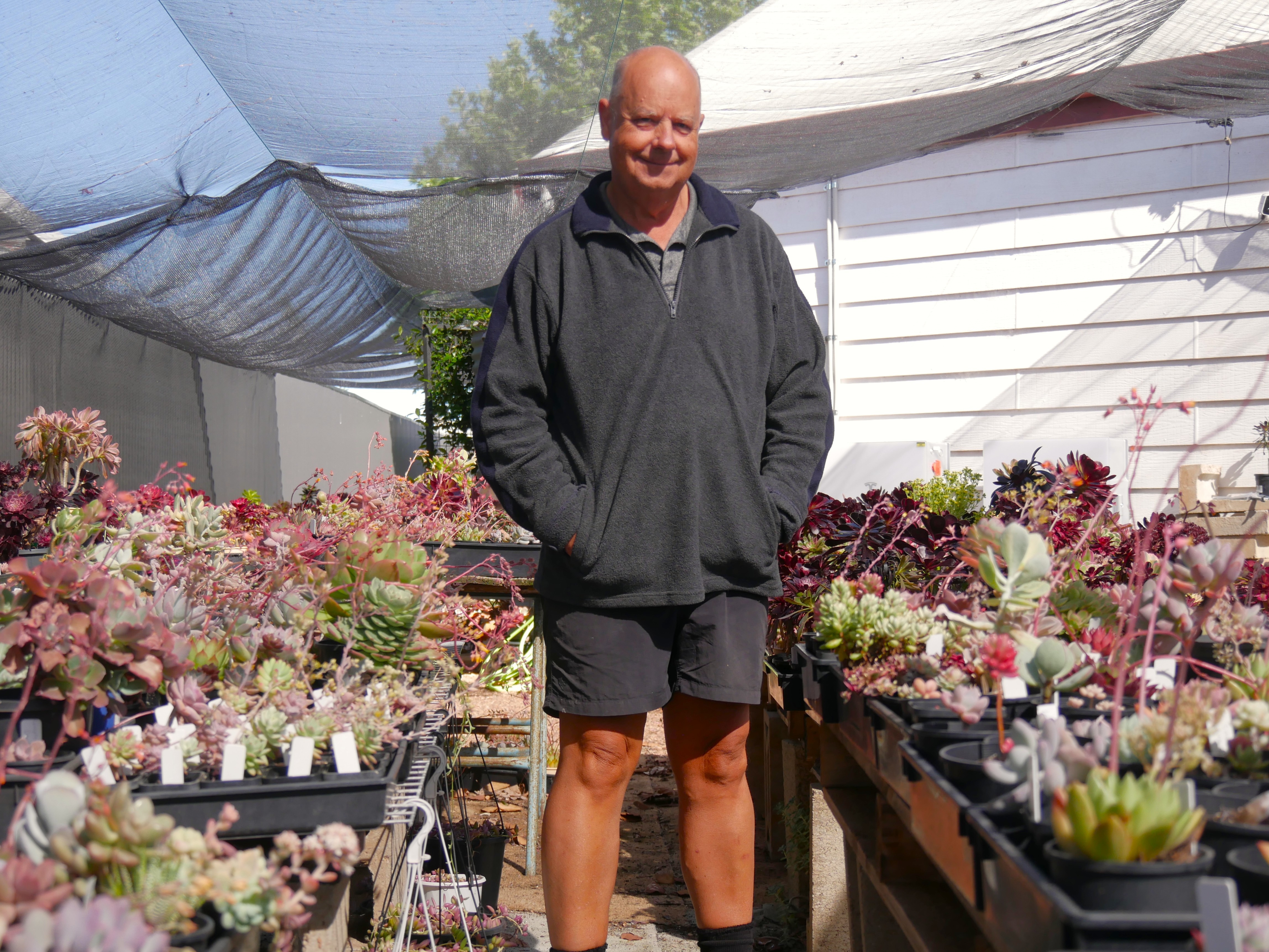a man stands with hands in his pockets next to succulents
