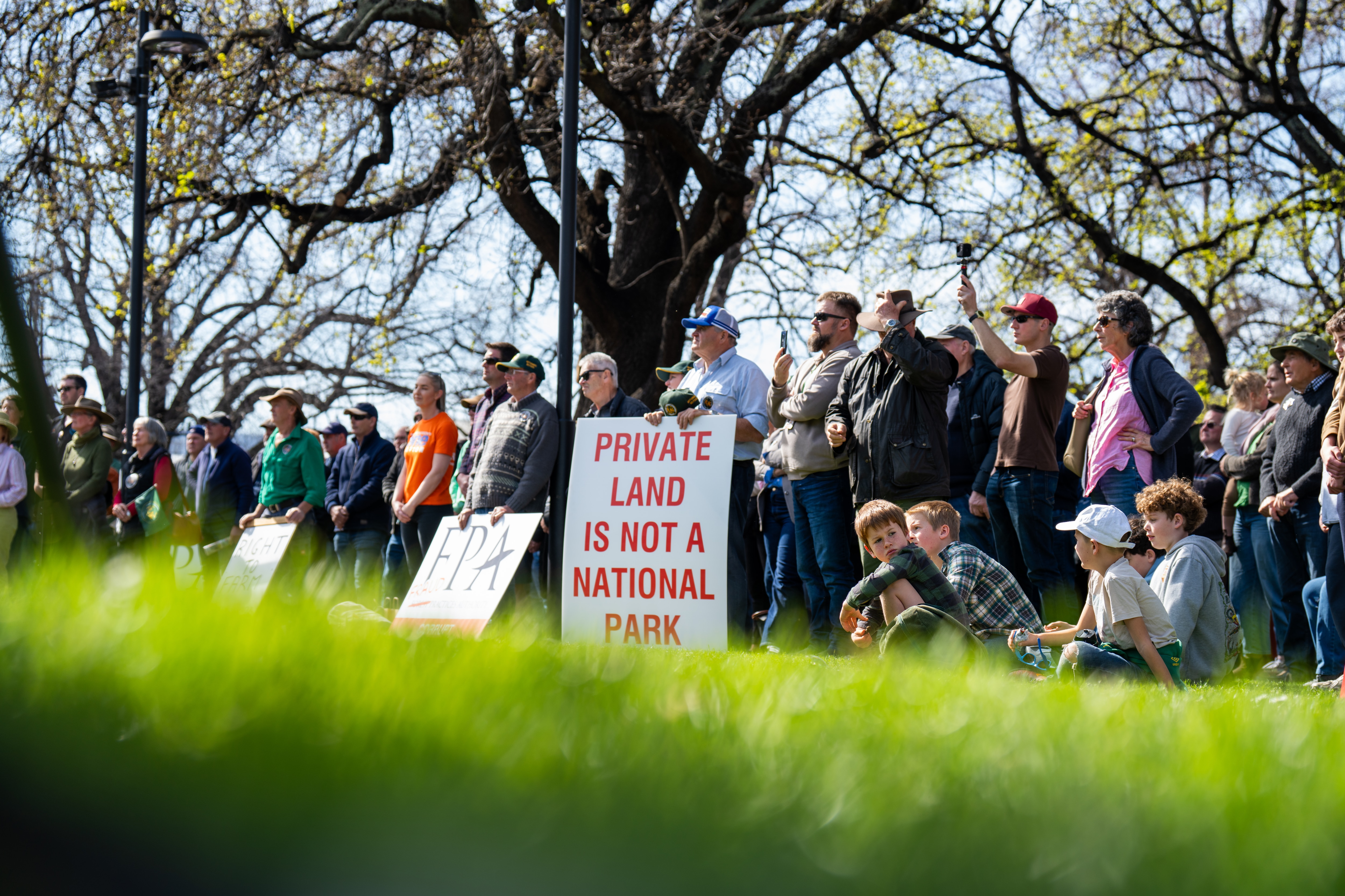 Land-clearing investigations to be reviewed after Hobart farmer protest