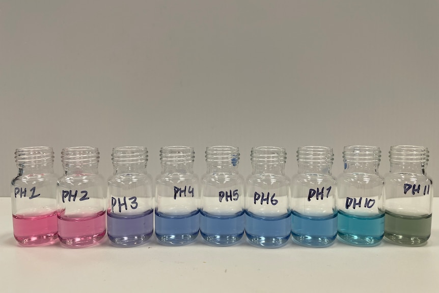 nine small glass bottles with pink, blue and green fluids.