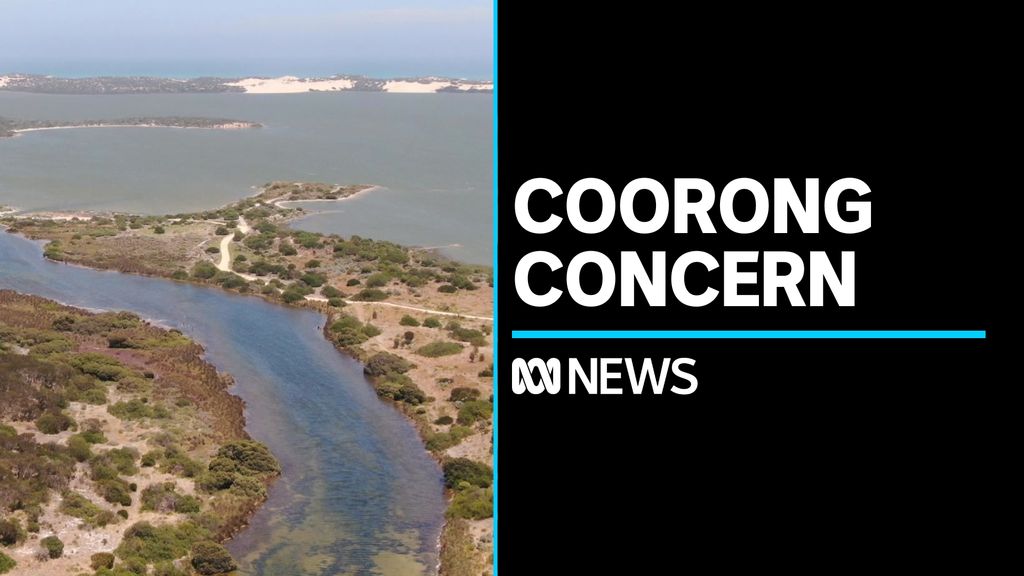 Urgent action needed to protect sites like the Coorong - ABC News