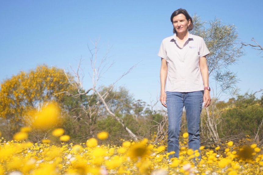 A woman standing amid a field of yellow wildflowers. 