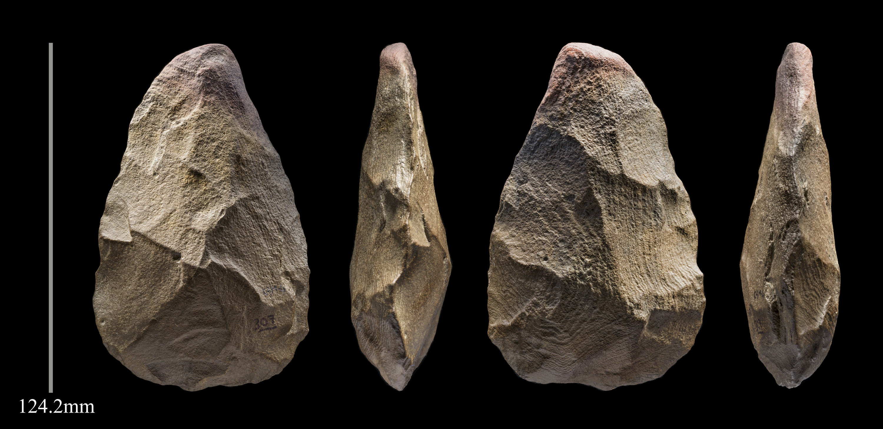 Four different perspectives of a 400,000 year old stone axe