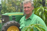 Foxalicious Fruits owner Andrew Dalglish stands next to a tractor and mango tree.