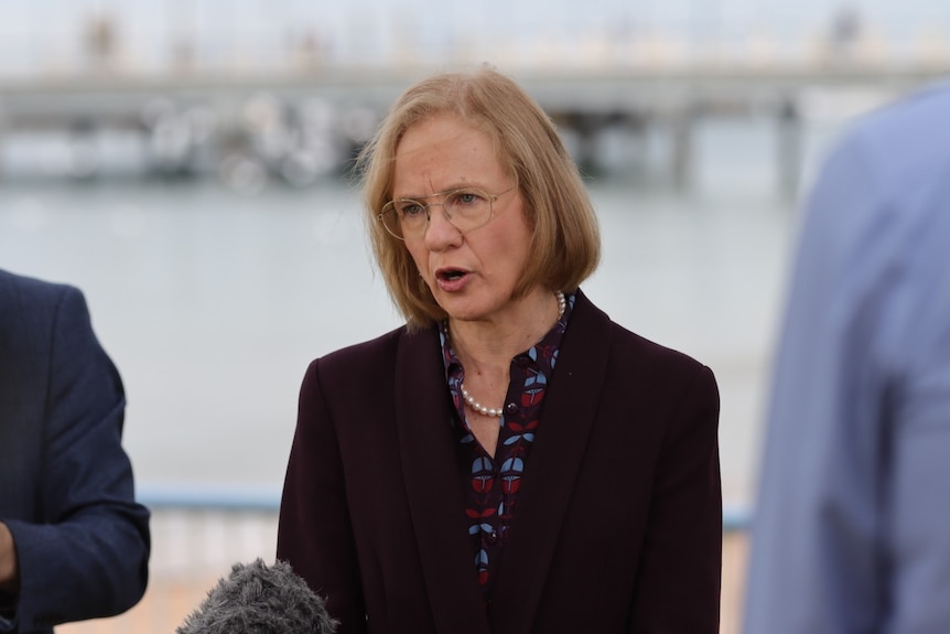 Queensland Chief Health Officer Jeannette Young speaks at a media conference in Brisbane