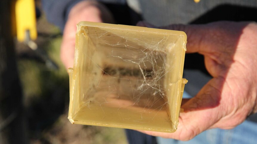 A farmer holds an empty rain gauge which is yellow and has cobwebs in it.