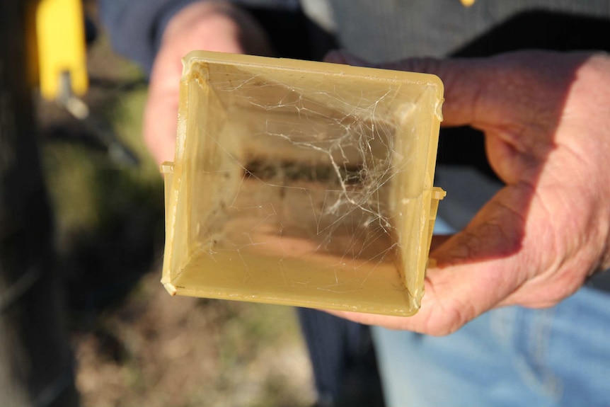 A farmer holds an empty rain gauge which is yellow and has cobwebs in it.