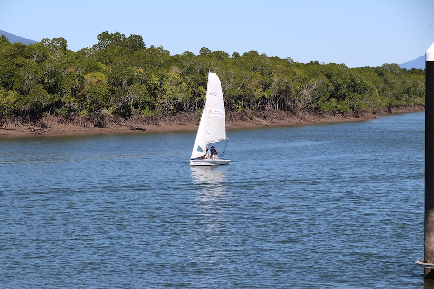 Sailboat on water with mangroves behind them