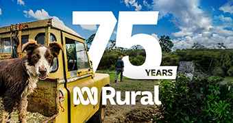 A cattle dog on the back of a battered yellow ute, farmer standing in the background, with "75 years" superimposed over the top.
