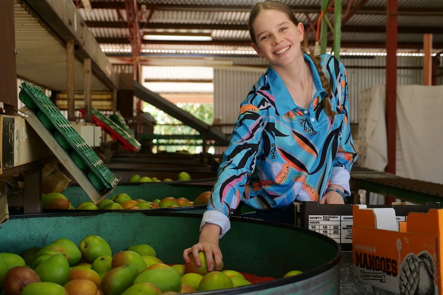 A young woman grins as she picks into a barrel of green and red mangoes. She's working in a packing shed surrounded by machinery