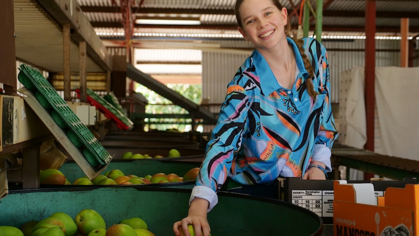 A young woman grins as she picks into a barrel of green and red mangoes. She's working in a packing shed surrounded by machinery