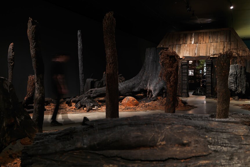 A barren landscape of orange soil and blackened tree stumps and branches leads to a colonial hut, set up in a gallery space