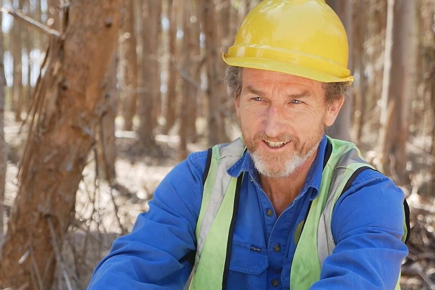 Andy Wright sitting in a blue gum plantation.