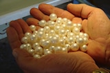 Kimberley pearls