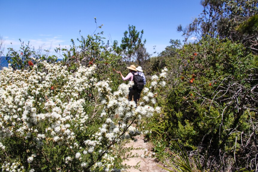 An abundance of flowering bush in the foreground with two women in the background.