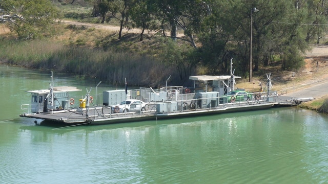 The Waikerie ferry transporting cars over the River Murray. The river is a green blue colour.