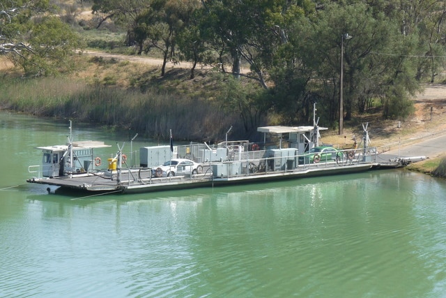 The Waikerie ferry transporting cars over the River Murray. The river is a green blue colour.