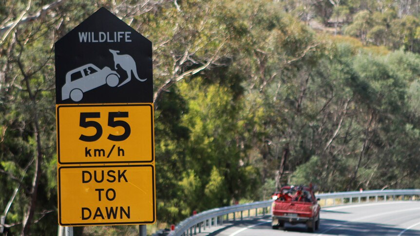 Roadkill warning sign in Tasmania