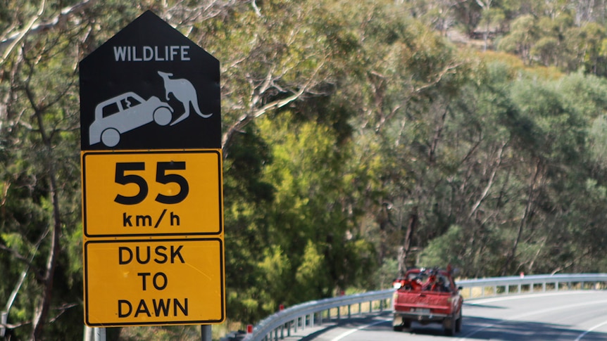 Roadkill warning sign 