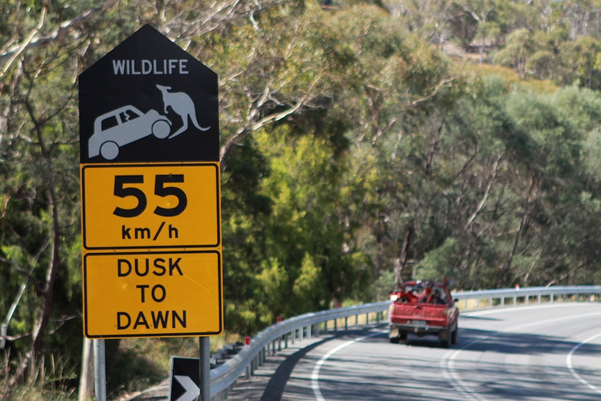 Roadkill warning sign in Tasmania