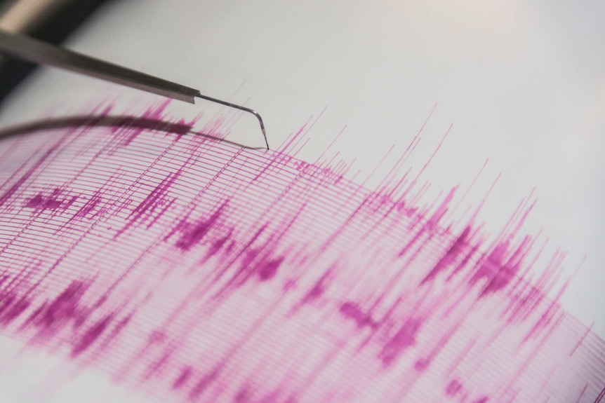 Close up of a seismograph showing pink ink on white paper.