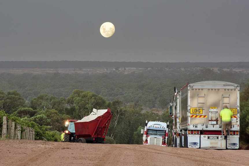 The moon rises over trucks harvesting shiraz grapes at Riverland Wines