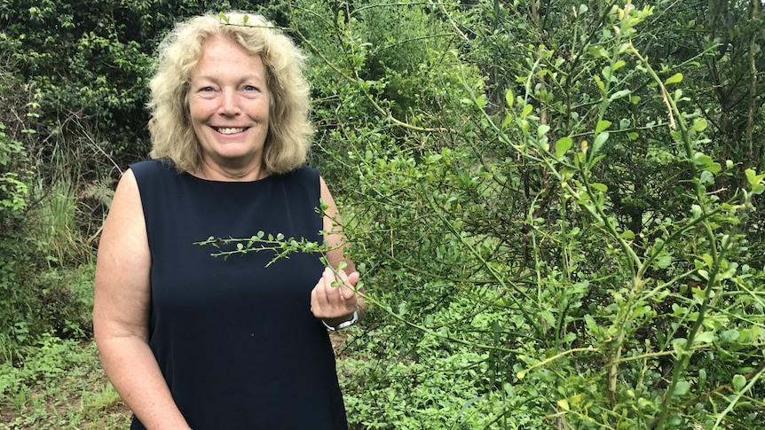 Tracey Hinner standing next to a finger lime tree.