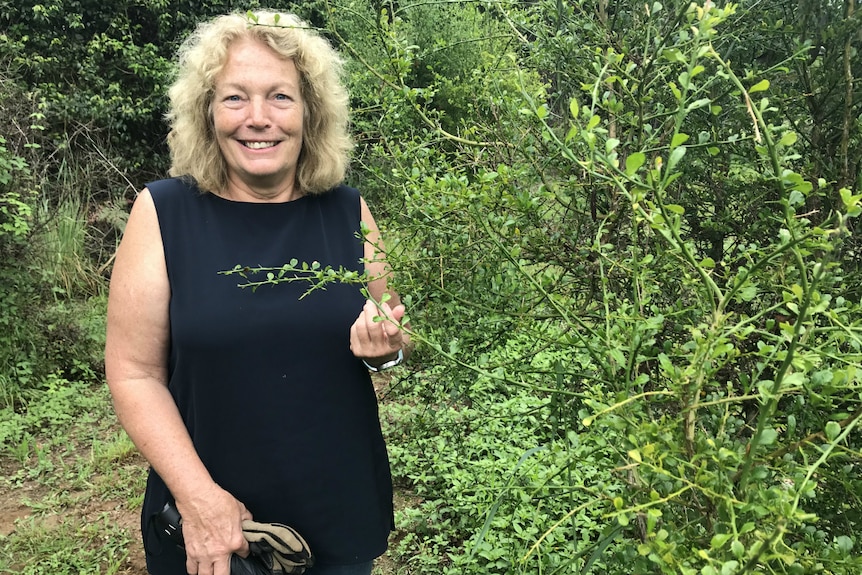 Tracey Hinner standing next to a finger lime tree.