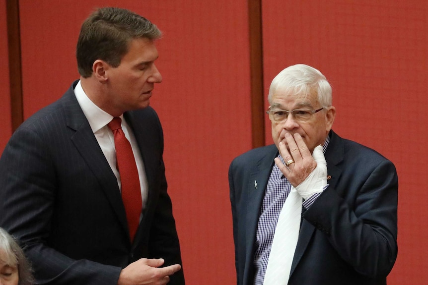 The senators talk as Brian Burston holds his bandaged hand to his face
