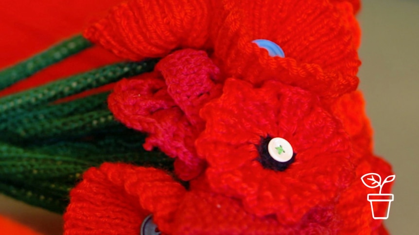 Bunch of knitted poppy flowers on stems