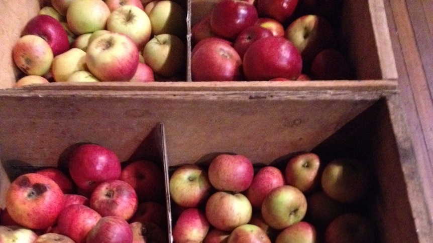 Farmers want a greater cut of cider's success