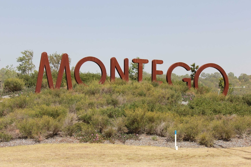 Large letters spelling out Montego stand amid shrubs.