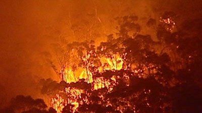 Fires rage through the trees at Halls Gap in Victoria