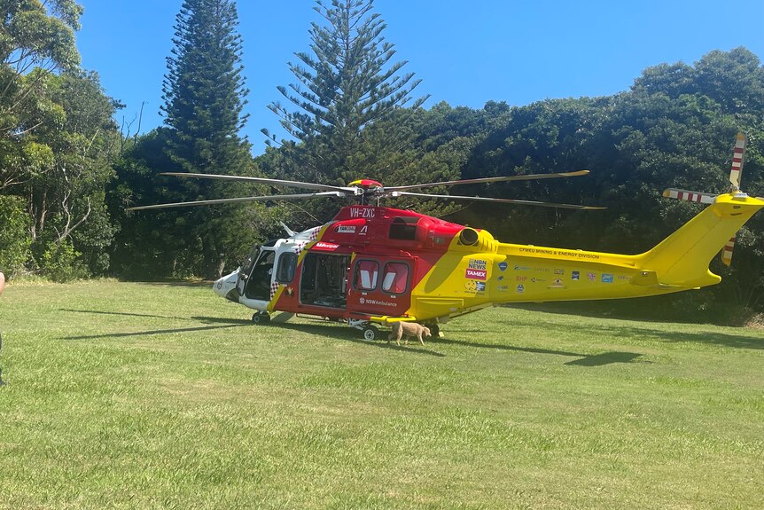 Red and yellow helicopter on grass 