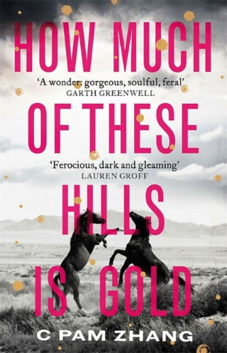 The book cover of How Much of These Hills is Gold by C Pam Zhang with horses rearing in front of mountains