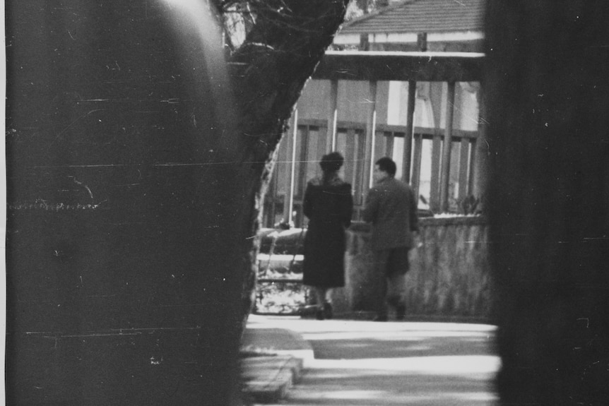 Black and white 1962 distance photo of Ivan Skripov and Kay Marshall at the front of Sydney's  Taronga Park Zoo