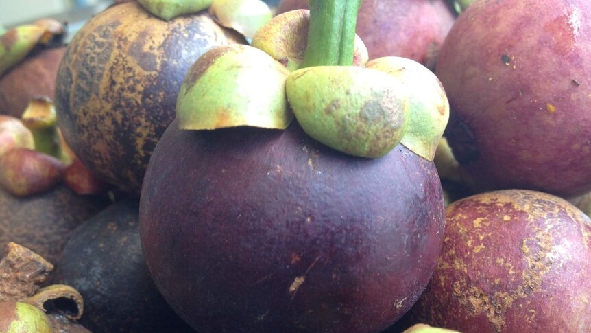 Mangosteens are a tropical fruit originating in Asia.