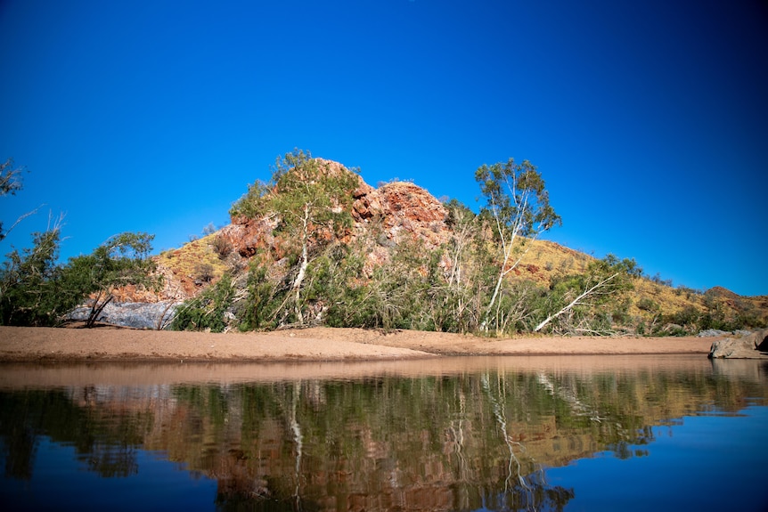 a hill covered in red and spinifex by a river lined with gum trees
