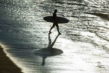 A surfer approaches the shore at Bondi