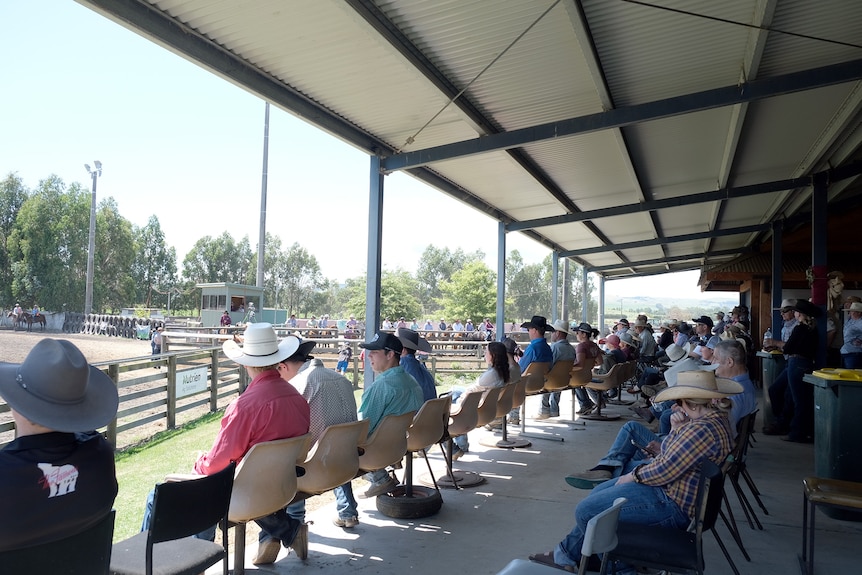 People sit in rows of chairs under the shade of a verandah at the campdraft pavilion. 