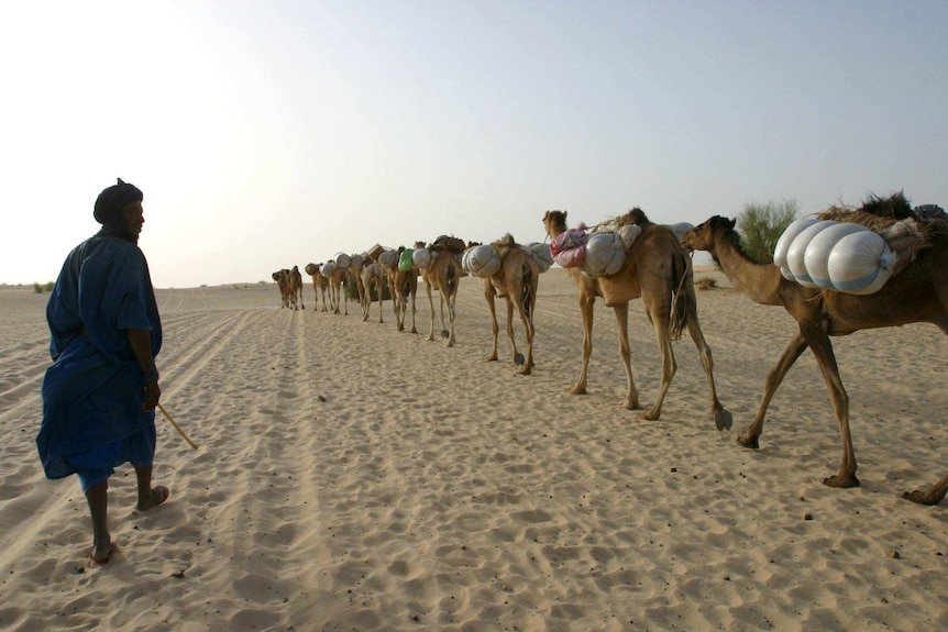 A camel caravan in Mali.