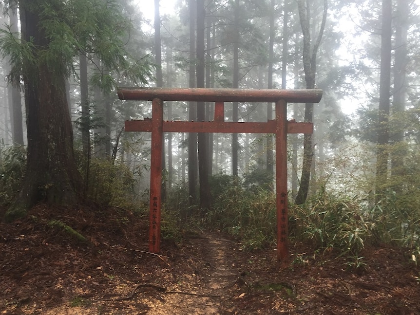 Torii gate on Kumano Kodo trail