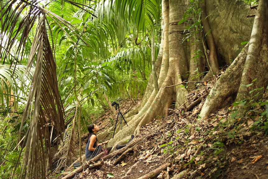 Woman kneeling in jungle with recording device