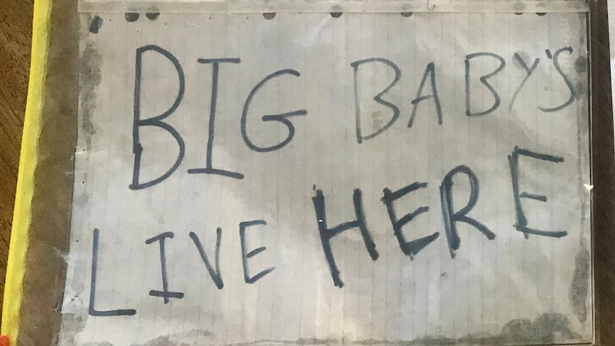 Hand drawn sign with BIG BAY'S LIVE HERE written on paper.