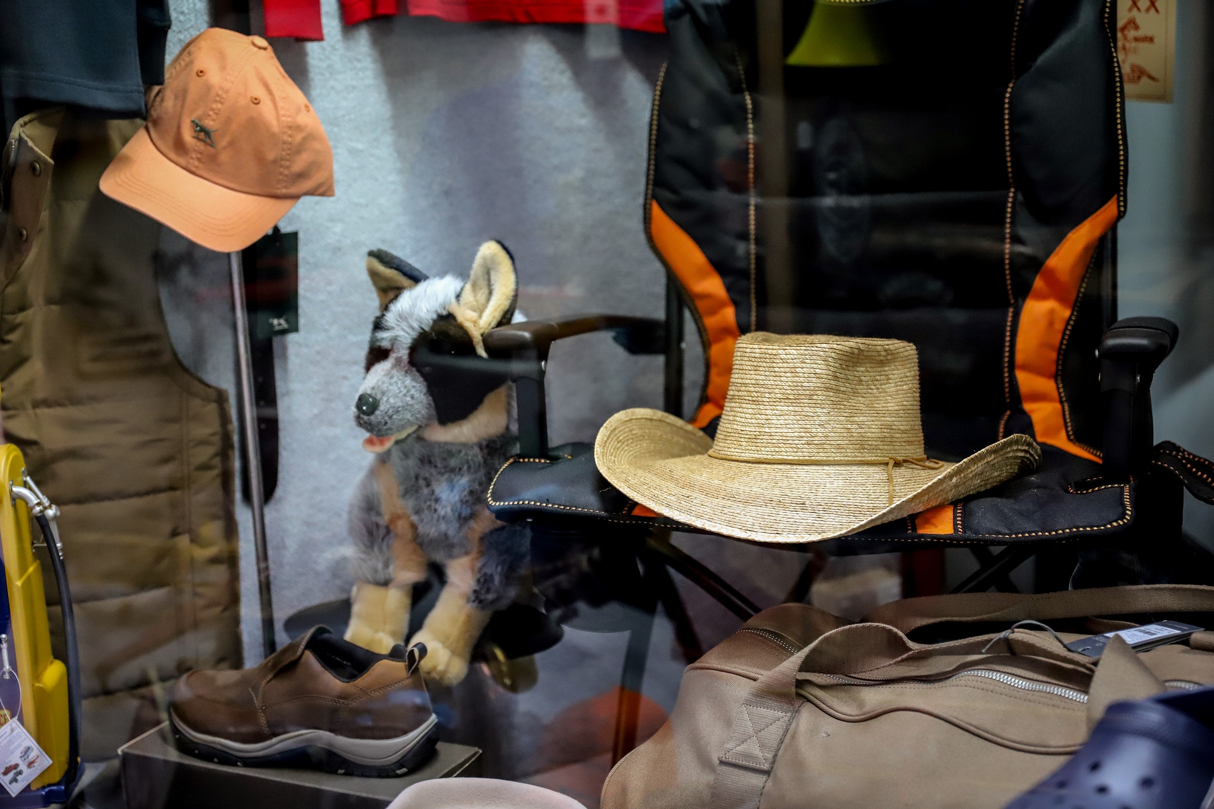 Behind glass a shop front display shows a plush toy dog in blue heeler colours, alongside clothing and hats.